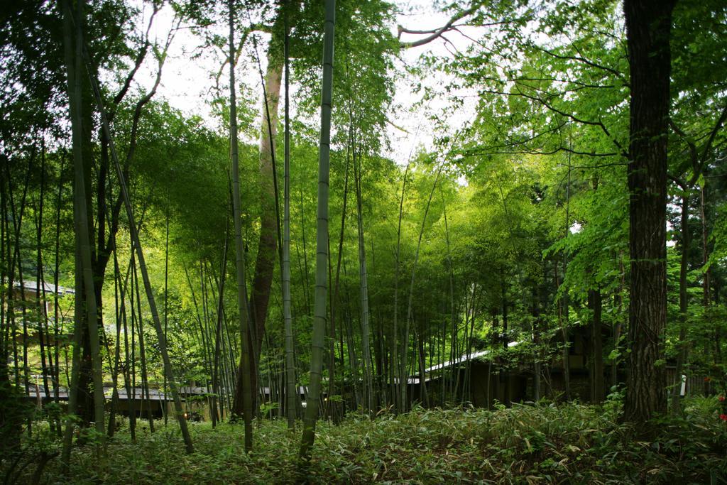 Sekizenkan Kashotei Sanso Nakanojo Exterior foto